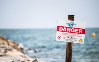 The Risk of Waiting to Share Your Gifts (that No One else is saying)