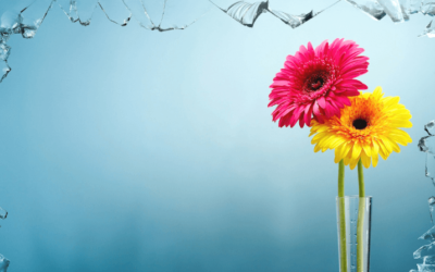 Is the Glass Ceiling a Myth?