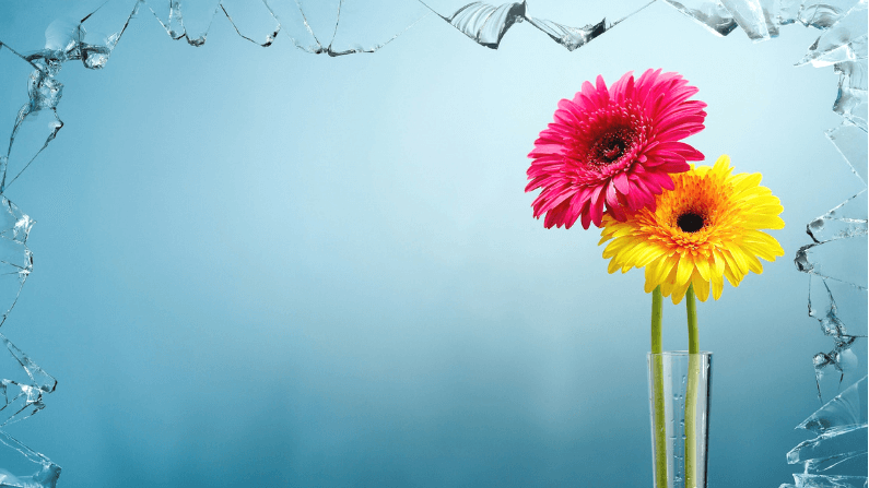 Is the Glass Ceiling a Myth?