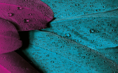 What the Voices of My Female Ancestors Said About Following Our Dreams