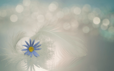 How Soul Alignment Brings Ease to Your Biz – A Real-Life Example!